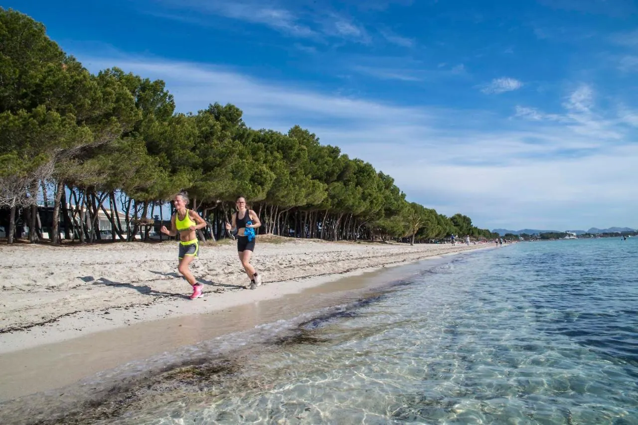 Beach Inn Apartment Alcudia  Alcudia (Mallorca)