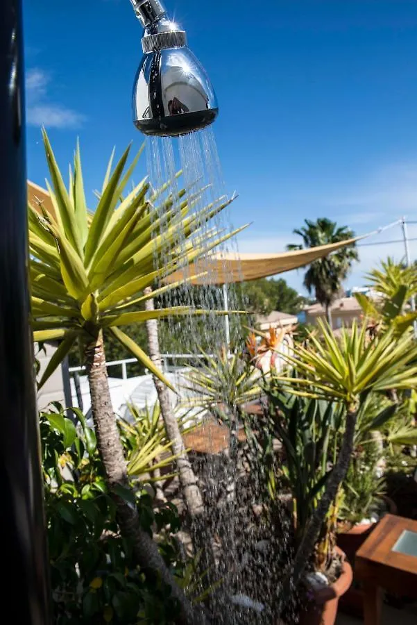 Beach Inn Apartment Alcudia  Spain