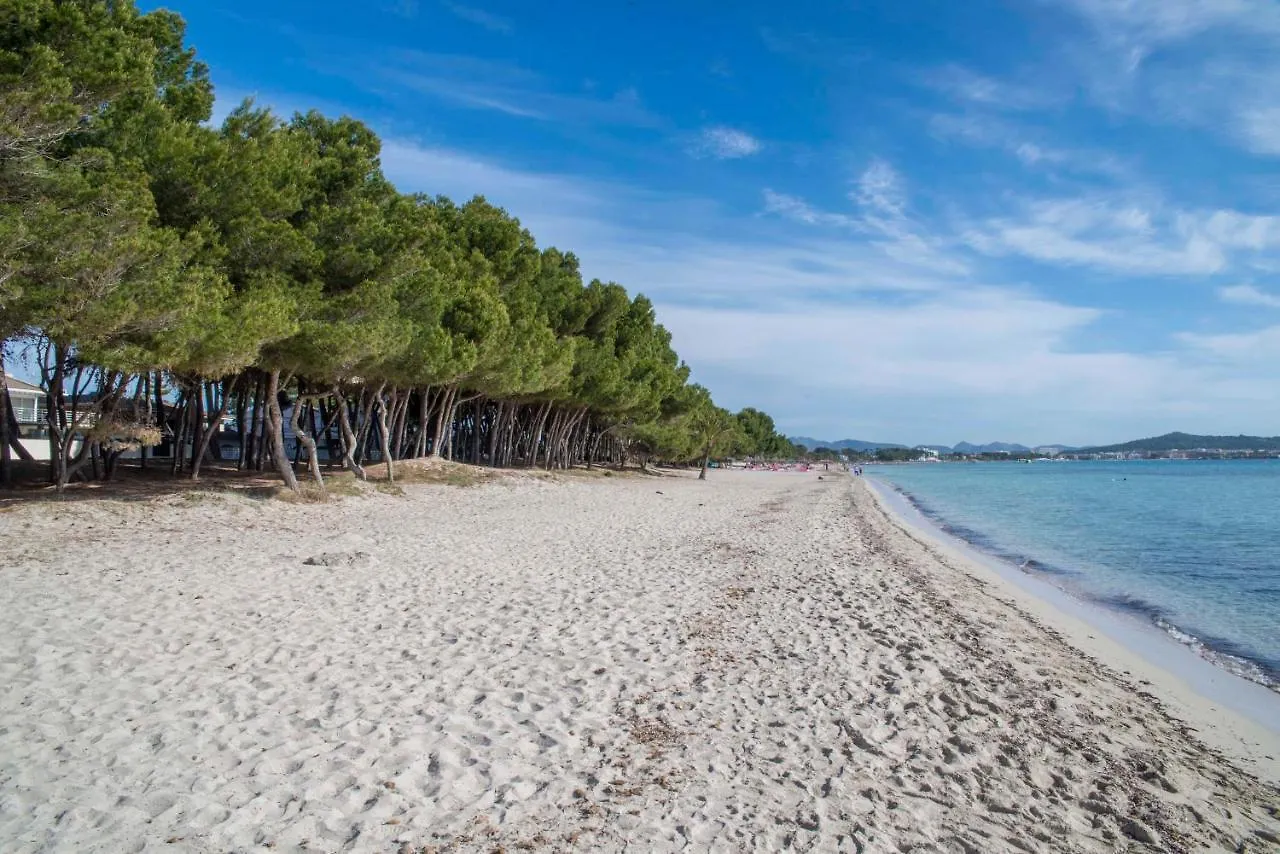 Beach Inn Apartment Alcudia
